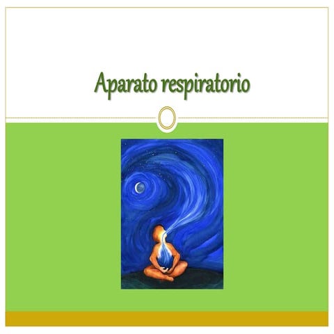 Aparato respiratorio VISITA EL BLOG ZONA DE ESTUDIO ODONTOLOGICO