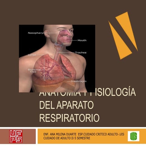 Respiratorio prestado