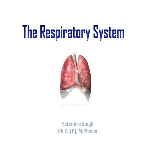 Respiratorty System Yatendra Singh