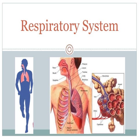 Respiratory