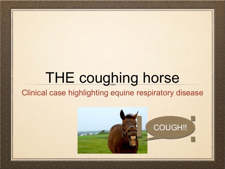 The Coughing Horse Equine Respiratory Disease and a Clinical Case S…