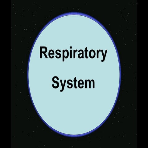 Respiratory