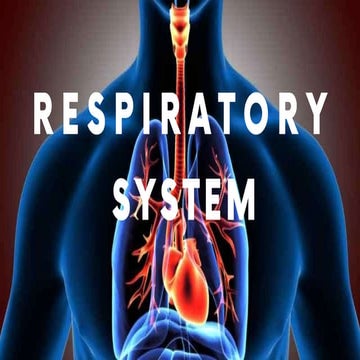 respiratory.pptx