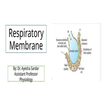 Factors effecting respiratory membrane.pptx