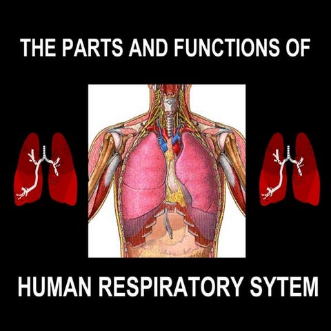Respiratory dickson cv presentation