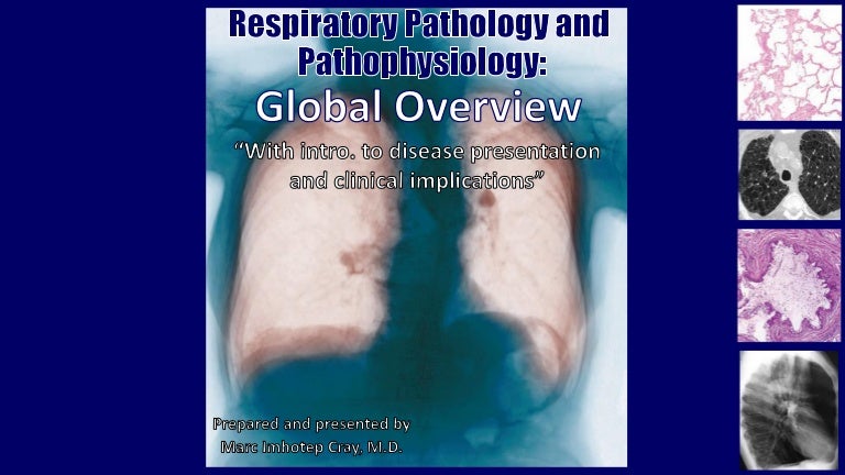 Respiratory Pathology and Pathophysiology- Global Overview