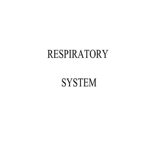 Respiratory System