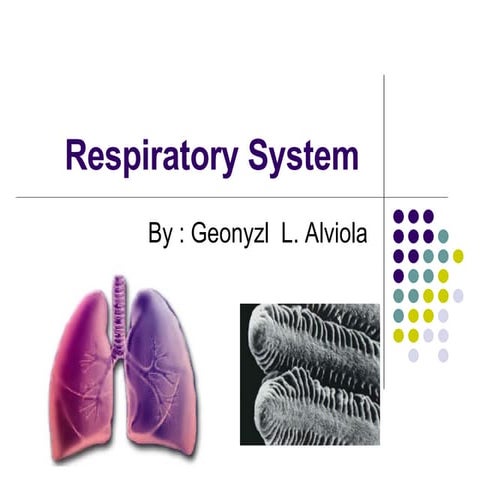 Respiratory System
