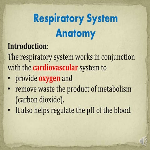 Respiratory anatomy ppt2020 vo