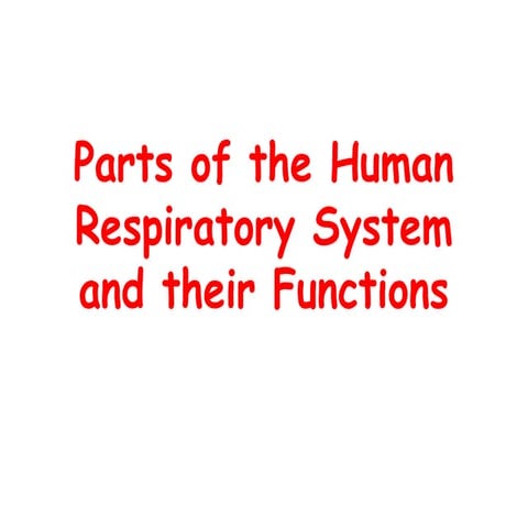 respiratory and circulatory system.pptxs | PPTX