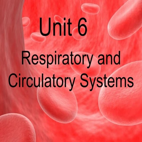 Respiratory circulatory lymphatic