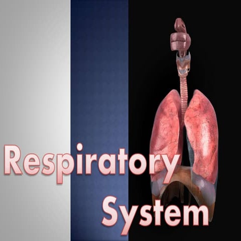 Respiratory & Circulatory System