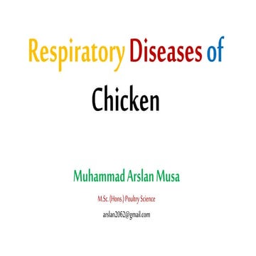 Respiratory diseases of chicken (updated)