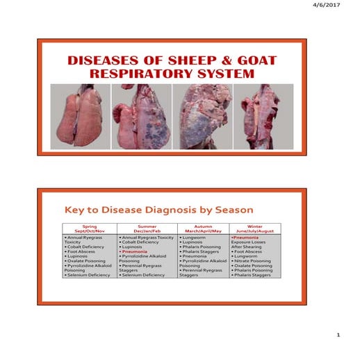 Respiratory diseases of sheep and goats