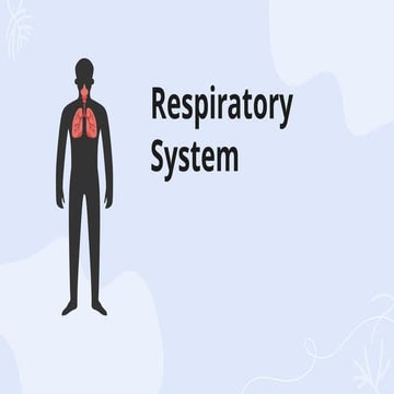 respiratory hiel hitler194CCZXCVDVDSFVXC5.pptx