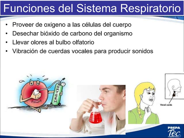 Respiratory jorge16esp
