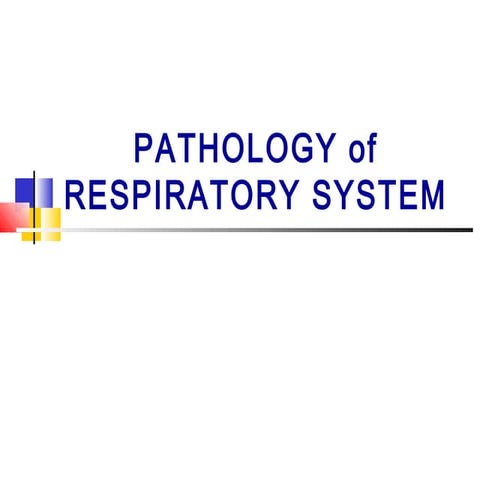 Respiratory lectures