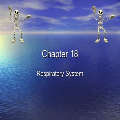 Respiratory notes