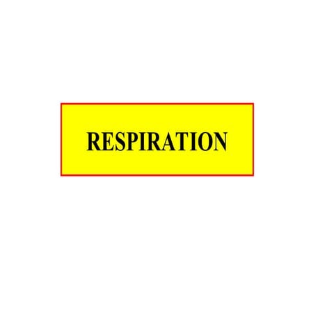 RESPIRATORY ORGANS AND RESPIRATION PROCESS IN INVERTEBRATE AND VERTEBRATES.ppt