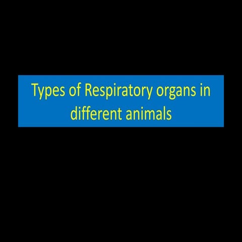 Respiratory organs in different animals
