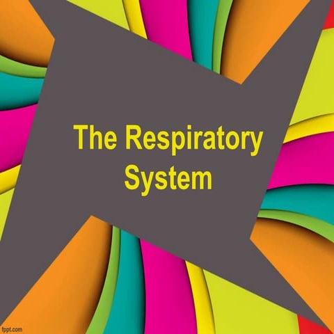 Respiratory System Parts