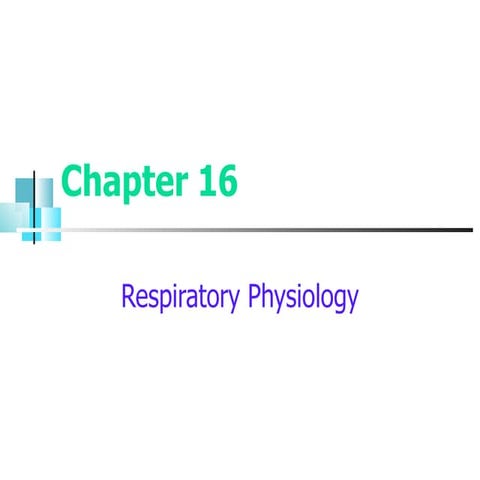 Respiratory Physiology