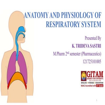 Respiratory Physiology.pptx