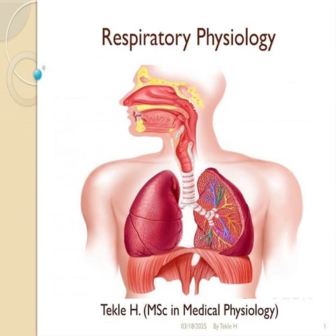 Respiratory system Physiology powerpoint.pptx