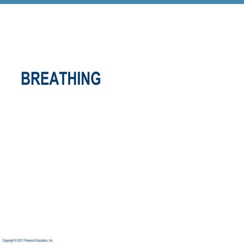 Respiratory phys online