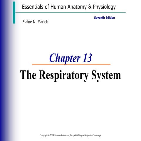 respiratoryppt.ppt slide presentation for grade 9