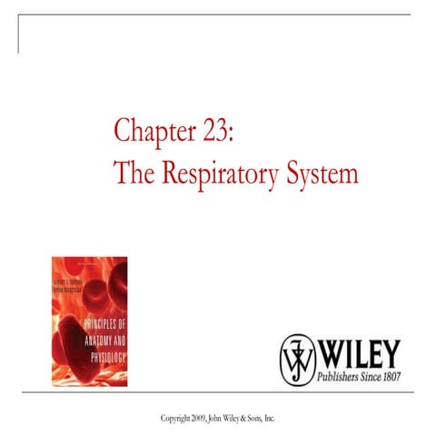 respiratory sys.pdf tgcgfx vdhyh  hgfx xx