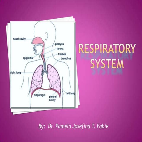 Respiratory system