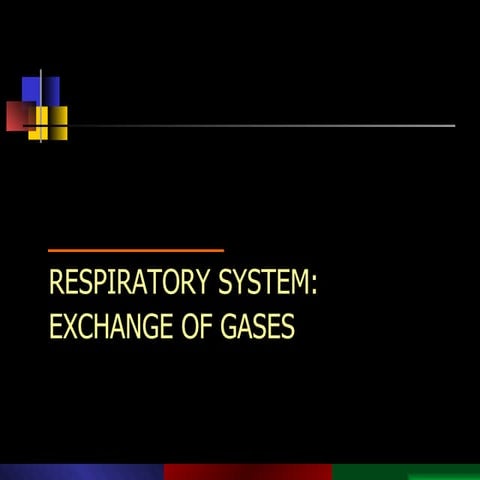 Respiratory system