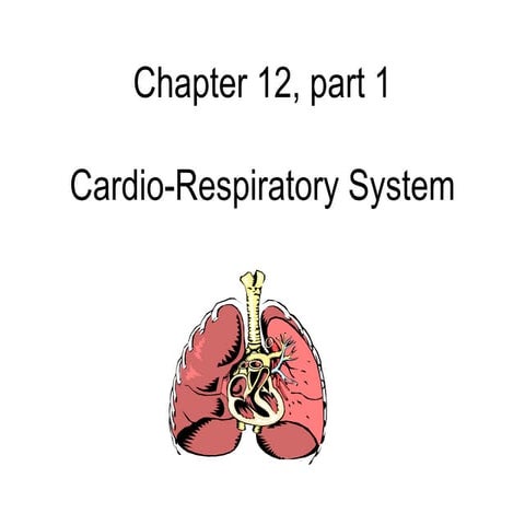 Respiratory system