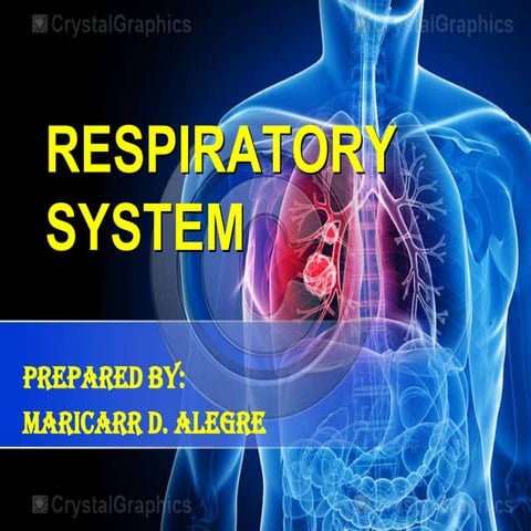 Respiratory system | PPTX