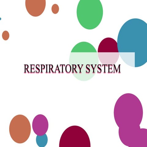 Respiratory system
