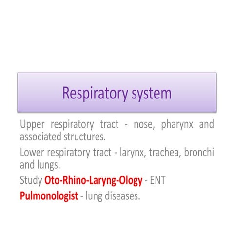 Respiratory system