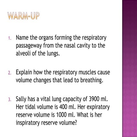 Anatomy & Physiology Lecture Notes - Respiratory system
