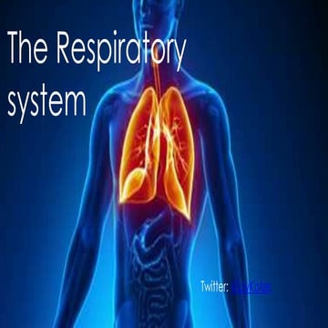 Respiratory system