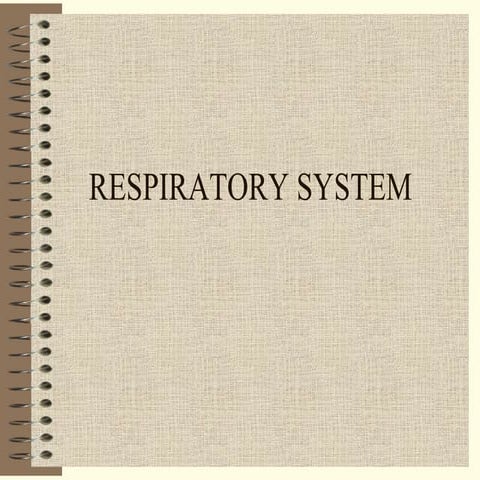 Respiratory system
