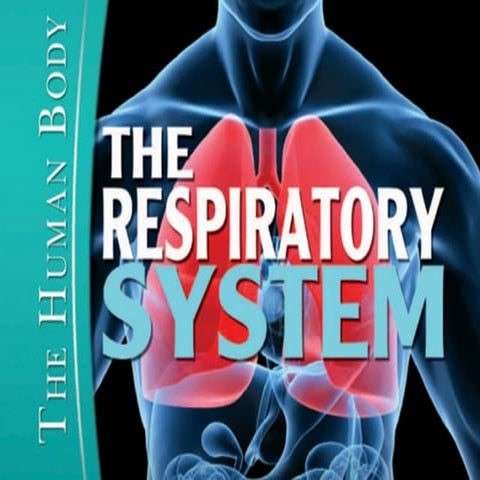 Respiratory System