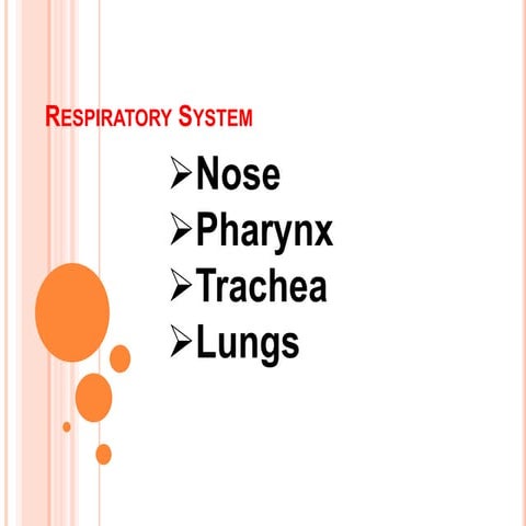Respiratory system