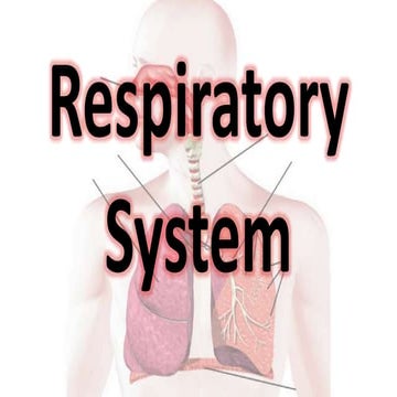 Parts and Function of Respiratory System - Grade 9 Science