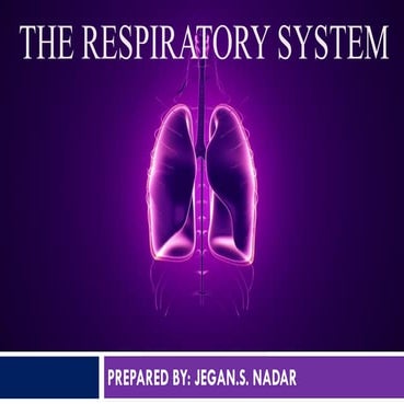 Respiratory system      