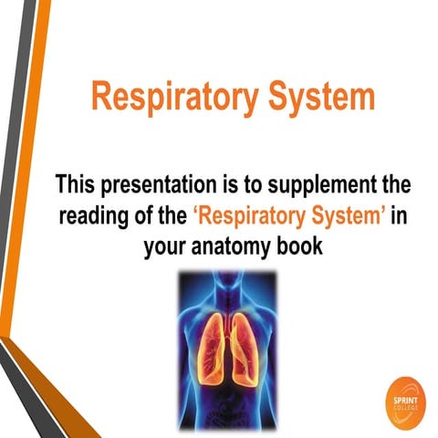 Respiratory system