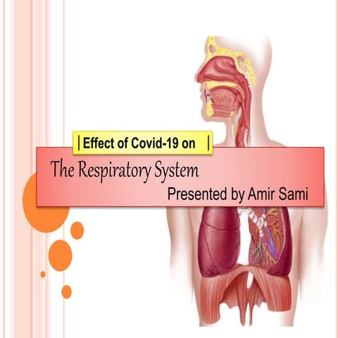 The Respiratory system