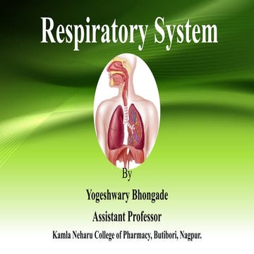 Respiratory system