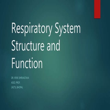 Respiratory system