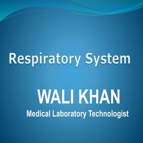 Respiratory system