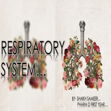 Respiratory System Shaikh Sameer Pharm D I year.pdf